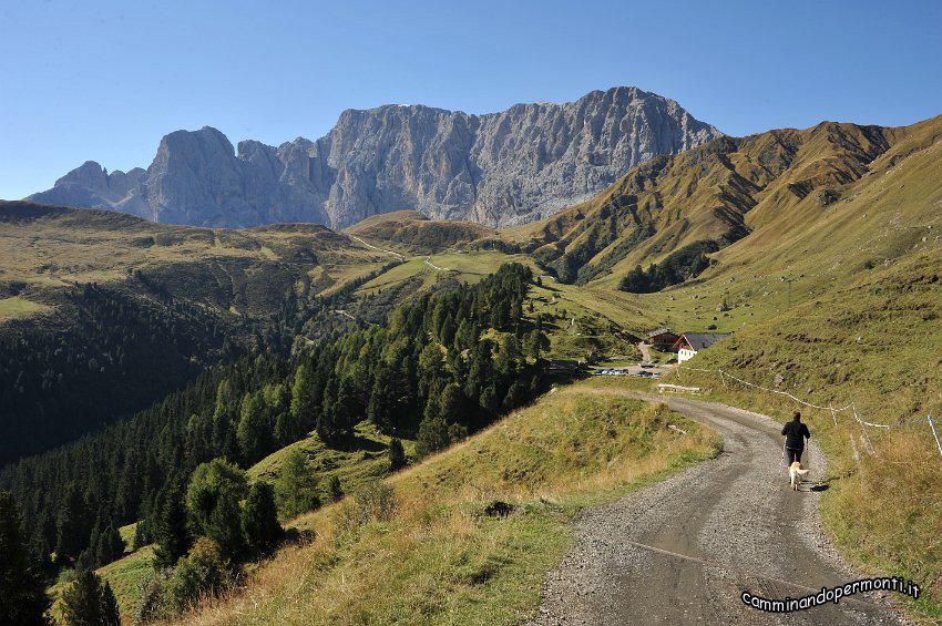 030 Scendiamo verso il Rifugio Molignon.JPG